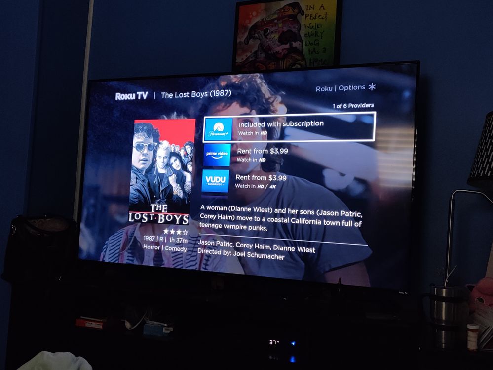 Roku search for the lost boys
