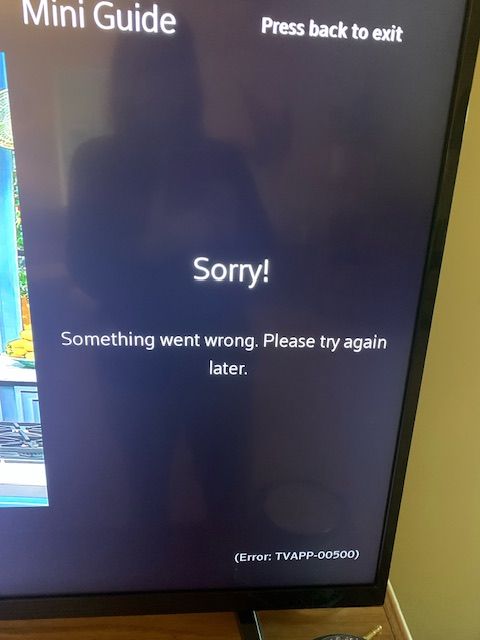 Help with internal server error 500 in Payment Set - Roku Community