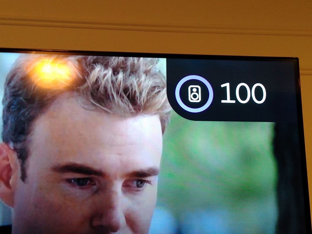 Roku Screen Sound Indicator.jpg