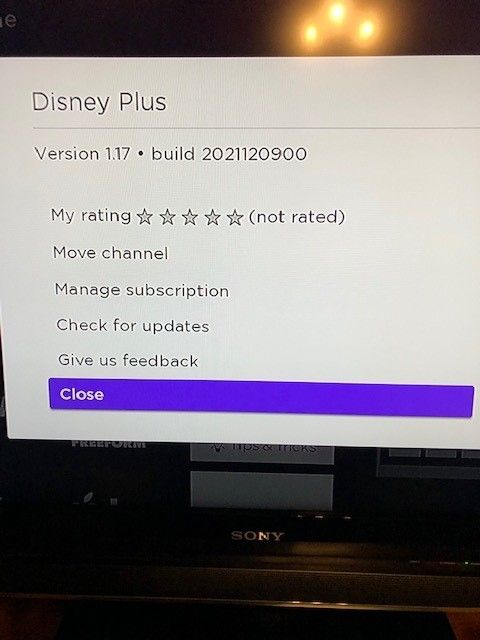 Disney Plus Info