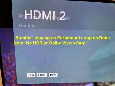 Why no HDR or DV flag?