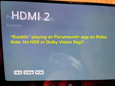Where is the DV or HDR flag?
