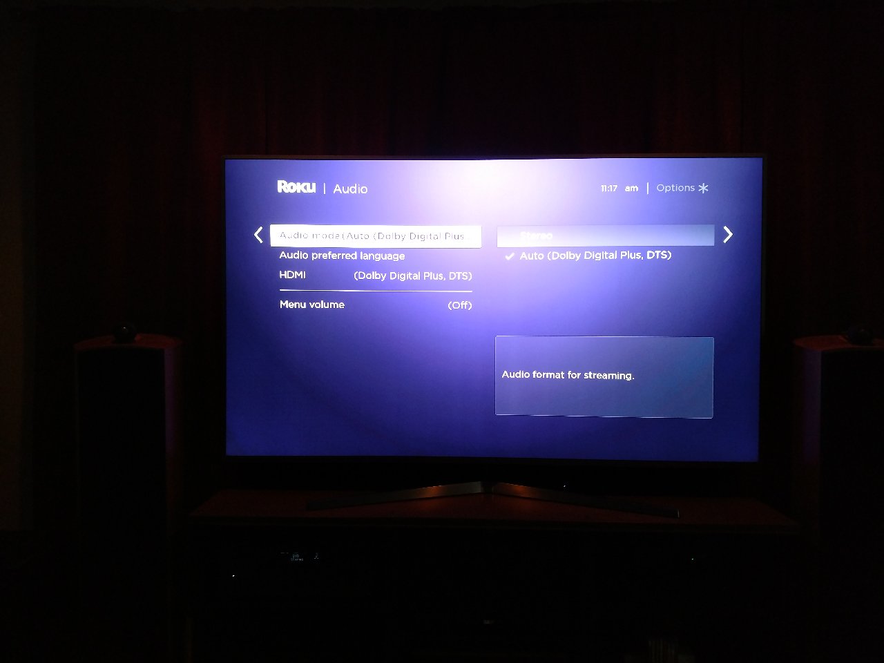 roku netflix 5.1