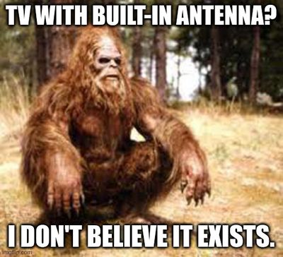 bigfoot-tv-antenna.jpg